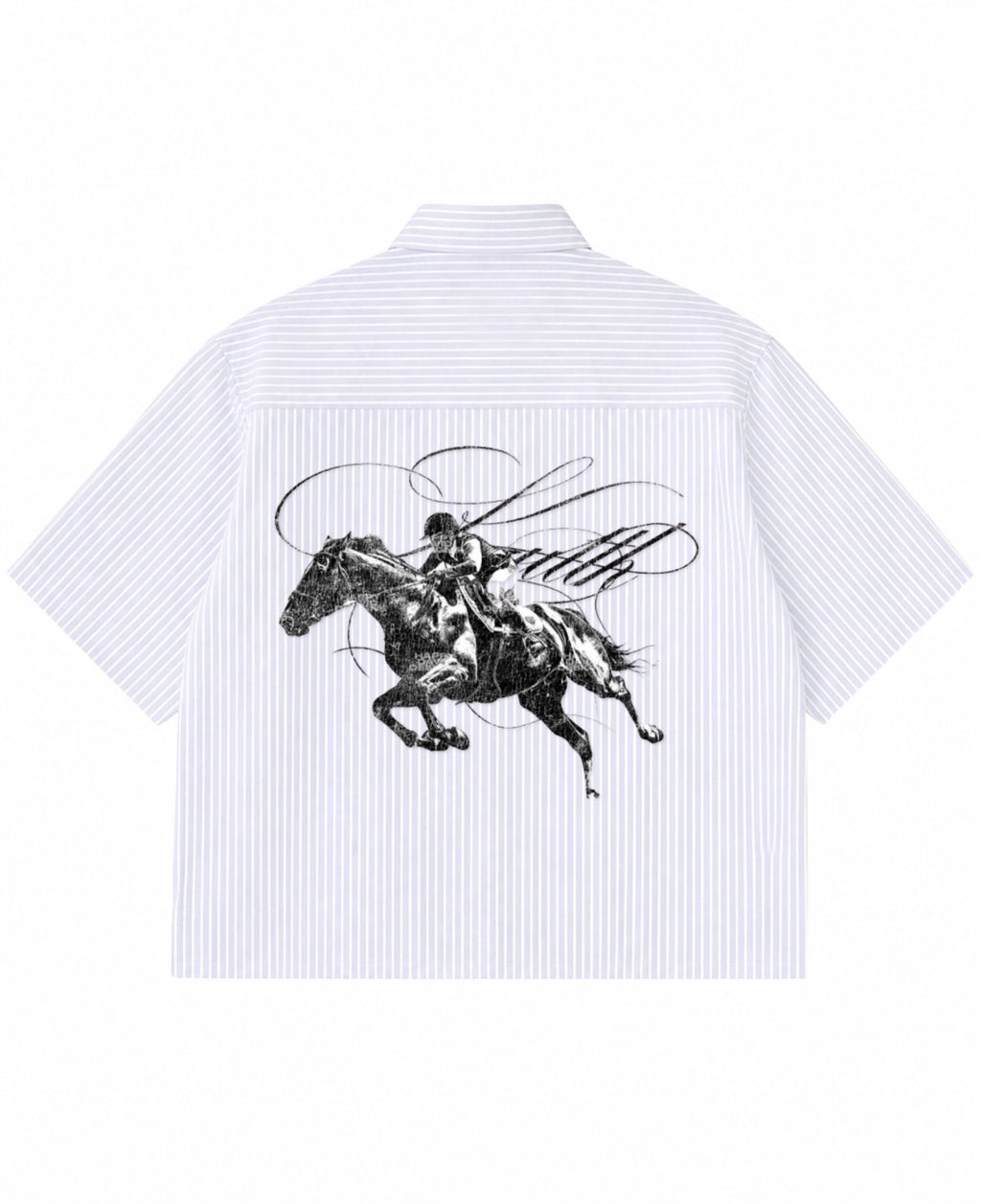 Blue Striped Oxford Boxy Shirt Back Design