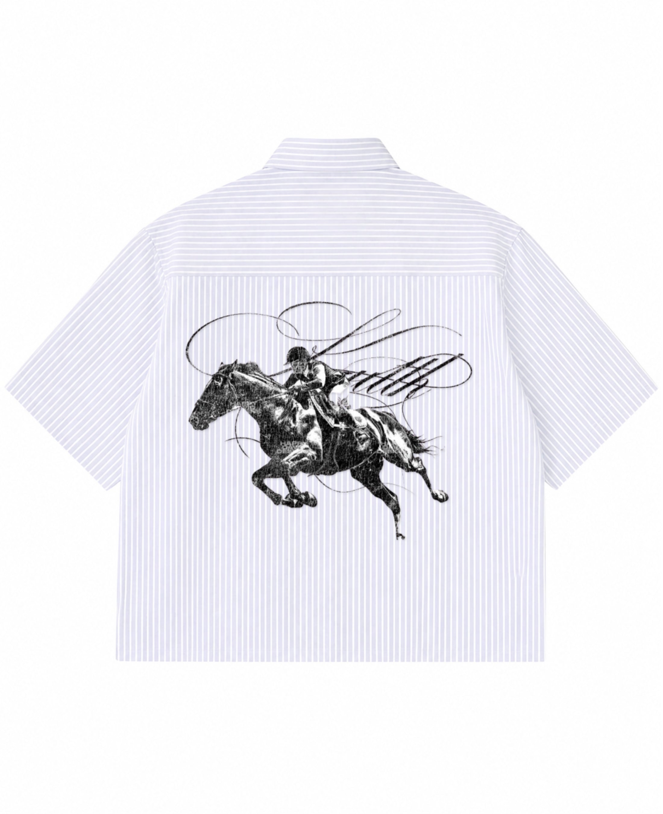 Blue Striped Oxford Boxy Shirt Back Design